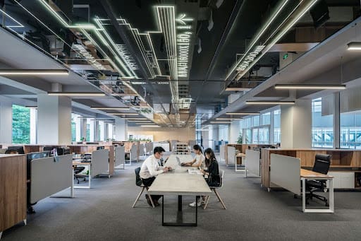 The Office Oasis